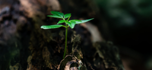 What is your cloud maturity? Here's how to determine it | Cloud Encyclopedia
